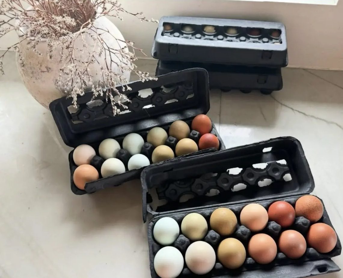 Rainbow of fresh eggs in a carton